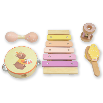 Musical Instrument Set