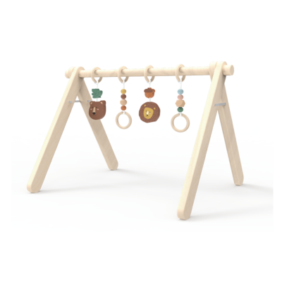 Baby Activity Gym